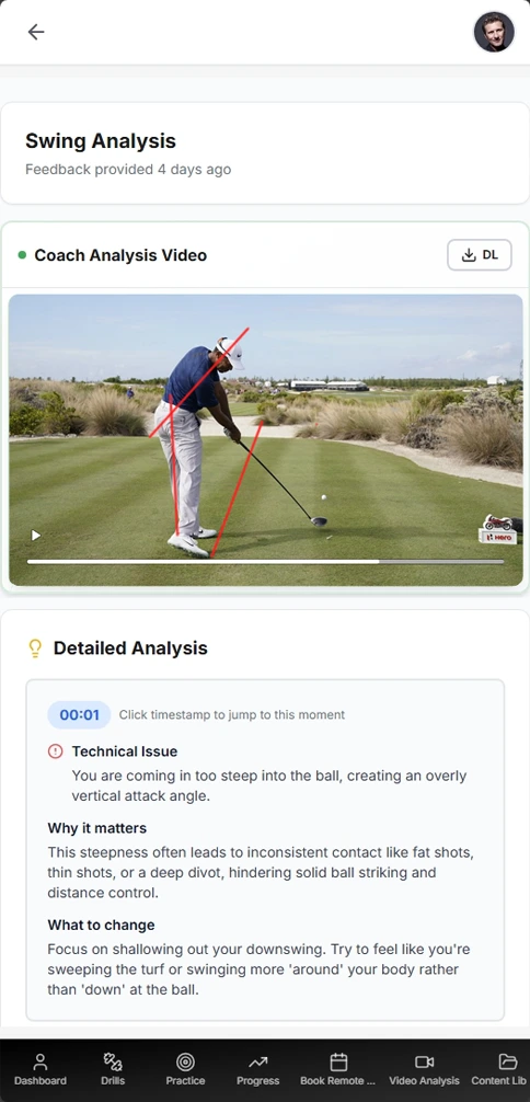 Video analysis details